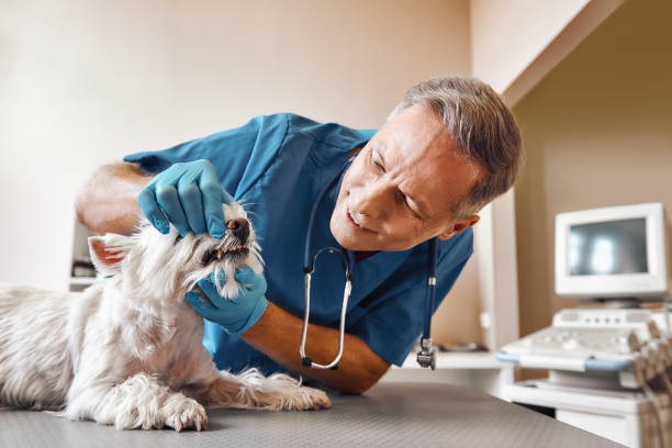 Emergency Dentist Open Today in NV